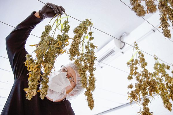 Kraken 17at сайт