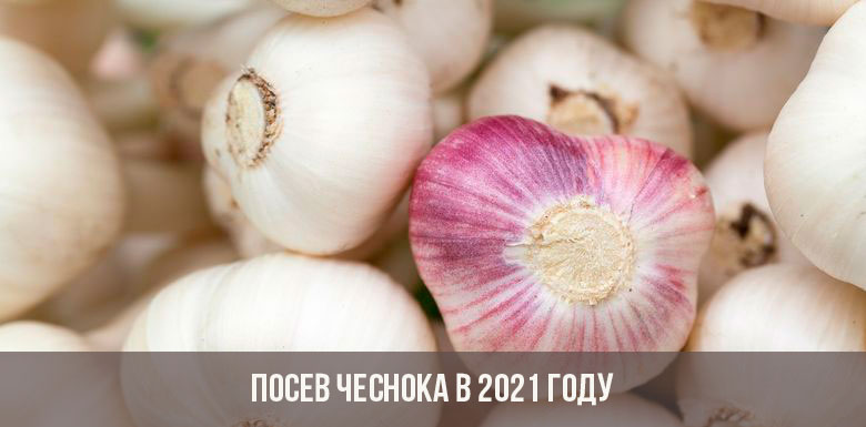 Кракен наркошоп сайт