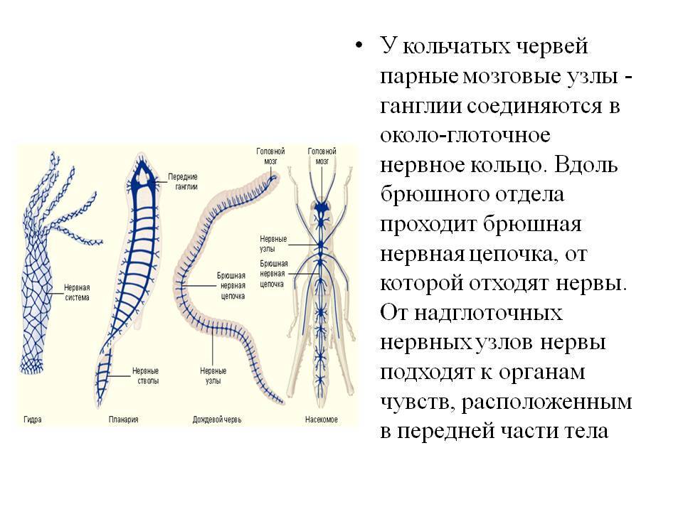 Кракен не приходят деньги